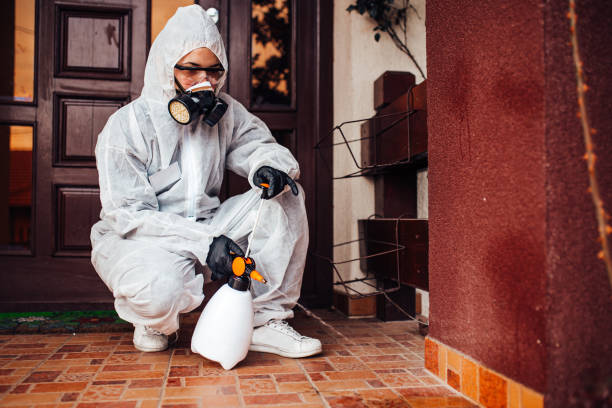 Reliable Ant Control contractor in Bealeton, VA by Show Me Pest Control